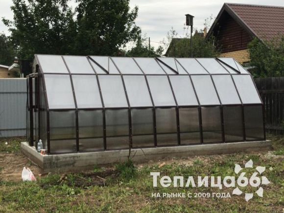 Теплица Рада Рица под поликарбонат, 3х8 метров