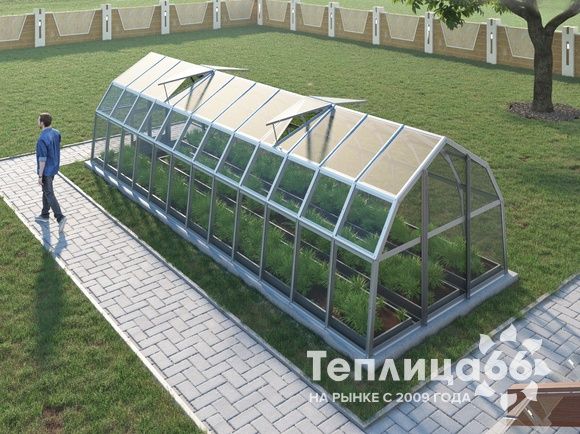 Теплица Рада Нева под стекло, 2,65х8 метров