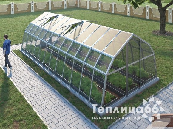 Теплица Рада Дунай под стекло, 3,5х8 метров
