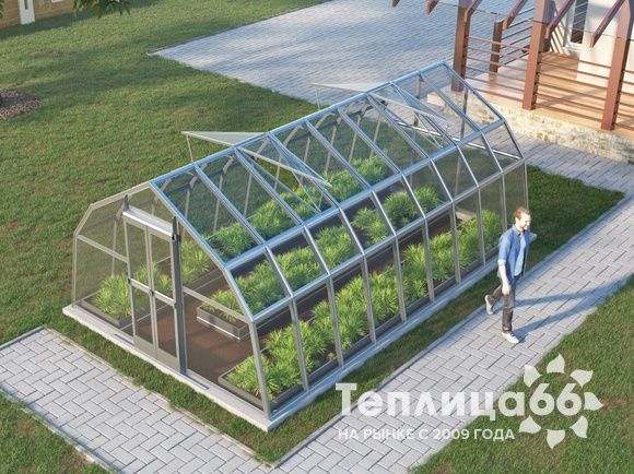 Теплица Рада Дунай под стекло, 3,5х6 метров
