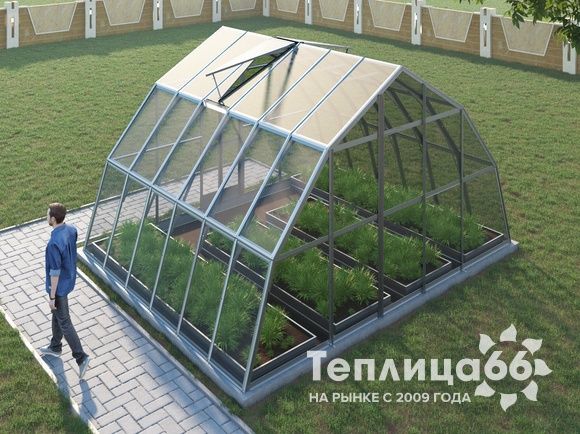 Теплица Рада Амазонка под стекло, 5х4 метра