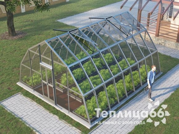 Теплица Рада Амазонка под стекло, 5х6 метров
