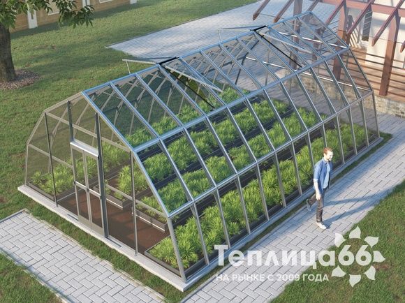 Теплица Рада Амазонка под стекло, 5х8 метров