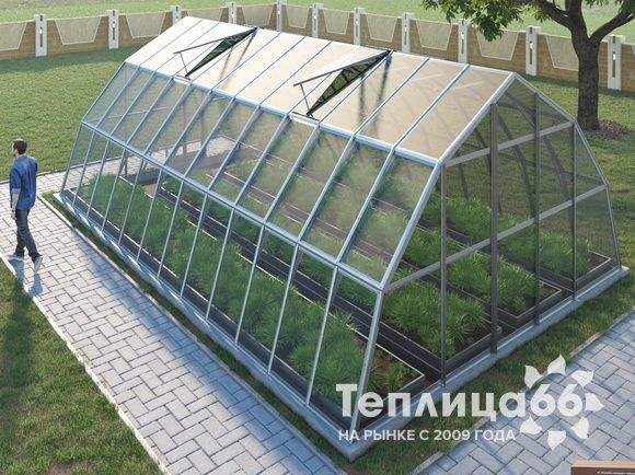 Теплица Рада Амазонка под стекло, 5х8 метров