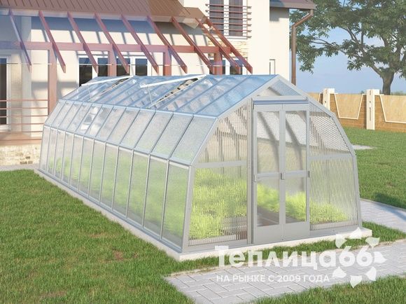 Теплица Рада Ладога из поликарбоната, 2.65х8 метров