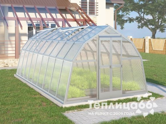 Теплица Рада Байкал из поликарбоната, 3x6 метров