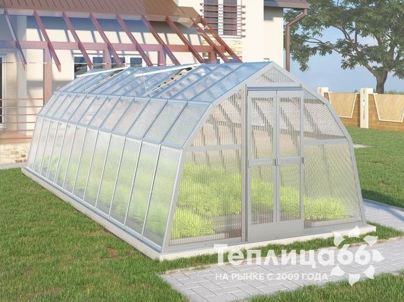 Теплица Рада Байкал из поликарбоната, 3x8 метров