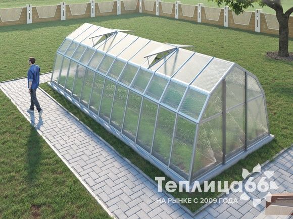 Теплица Рада Байкал из поликарбоната, 3x8 метров